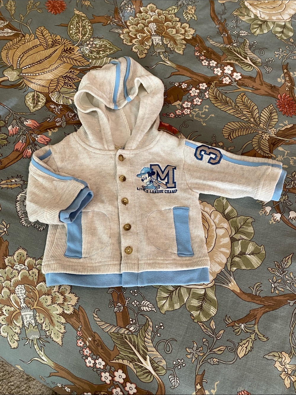 Mickey & Co Hoodie